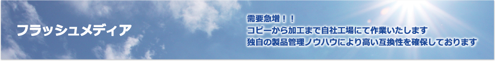 USBメモリ、SDカードコピー